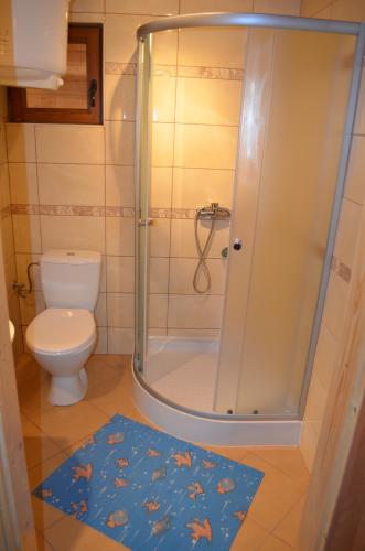 卡文斯基波托皮耶弗采Zacisze pod Laskiem的带淋浴、卫生间和地毯的浴室