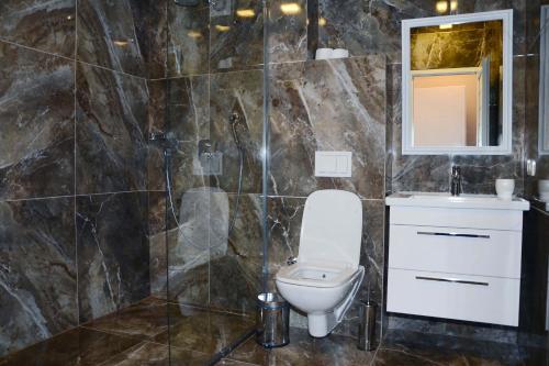 普里什蒂纳贝戈利酒店的一间带卫生间、水槽和镜子的浴室