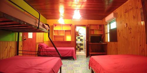 别霍港Cabinas Casa Dolce Vita的一间客房内配有两张双层床的房间