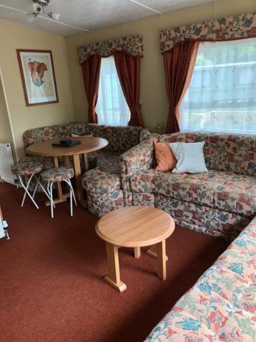 达农62 Glenfinart Caravan Park的客厅配有沙发和桌子
