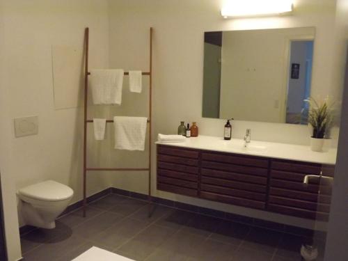哥本哈根Luxury in the Heart of Copenhagen Near Harbour Baths的一间带卫生间、水槽和镜子的浴室