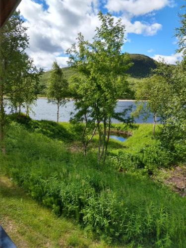 乌茨约基Vetsikon Leirintämökit的享有树木和草地的湖泊美景