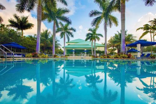 迈阿密普罗威登多拉布鲁酒店的一座棕榈树游泳池和一座建筑