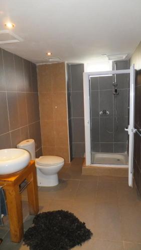 格兰贝伊纳尔默达别墅度假酒店的带淋浴、卫生间和盥洗盆的浴室