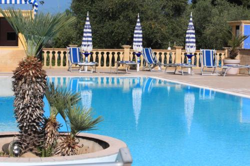 维耶斯泰Appartamenti Vacanze Minervino的游泳池拥有蓝白椅子和棕榈树
