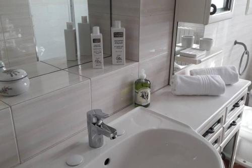 菲利内瓦尔达诺Villa Pancrazzi的白色的浴室设有水槽和镜子