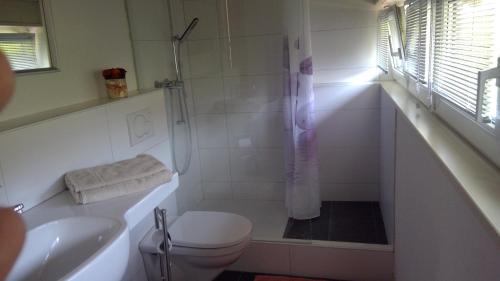 施泰因Bed and Breakfast 24的带淋浴、卫生间和盥洗盆的浴室