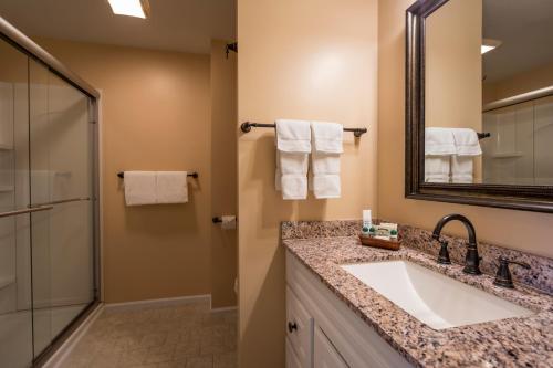 佩托斯基斯塔福德海湾景酒店的一间带水槽和淋浴的浴室