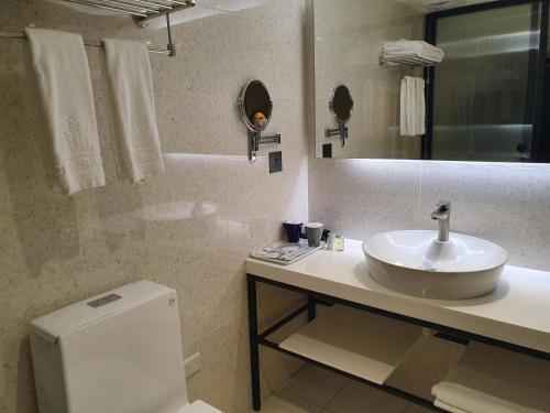 桃园市城市商旅桃园车馆的一间带水槽、镜子和卫生间的浴室