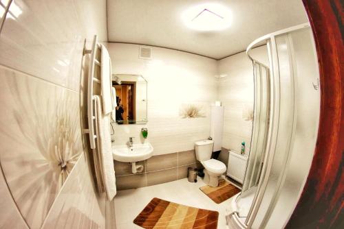 切尔尼戈夫Комфортні апартаменти в Чернігові的一间带卫生间和水槽的小浴室