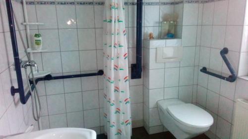 爱尔福特Kleines Apartement zwischen Ega und Messe Erfurt的一间带卫生间和淋浴的小浴室