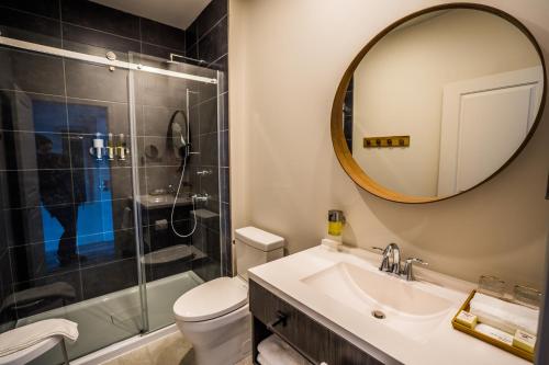 韦克菲尔德Le Bellevue Modern Lodge的一间带卫生间、水槽和镜子的浴室