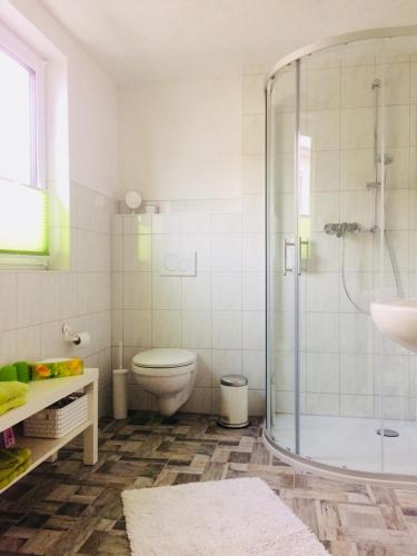 伦斯泰格地区施米德费尔德Pension SPORT-SCHMIEDE的带淋浴、卫生间和盥洗盆的浴室