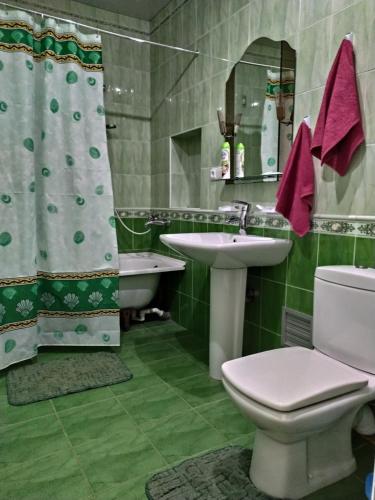 SvitlovodsʼkHotel Tropicana的绿色浴室设有卫生间和水槽