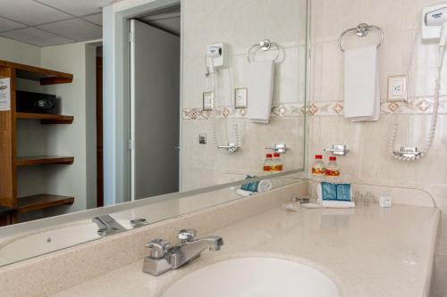 阿瓜斯卡连特斯阿瓜斯卡连特斯瑞里商场酒店的一间带水槽和大镜子的浴室