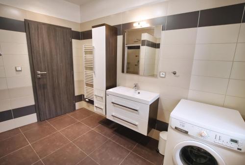多尼杜纳约维采克拉托齐威尔宾馆的一间带水槽和洗衣机的浴室