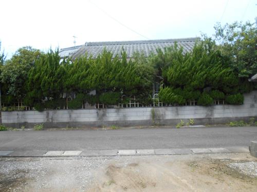 Nahariゲストハウスよろずや的一条空的街道,在一座植物丛生的建筑前