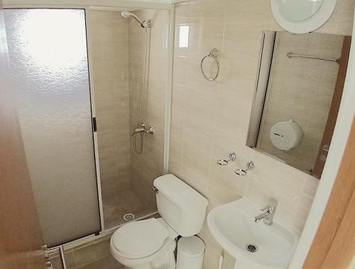 卡拉马Hotel Doña Esperanza的浴室配有卫生间、盥洗盆和淋浴。
