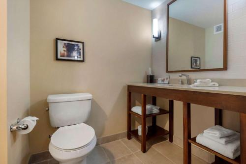 Comfort Inn & Suites的一间浴室
