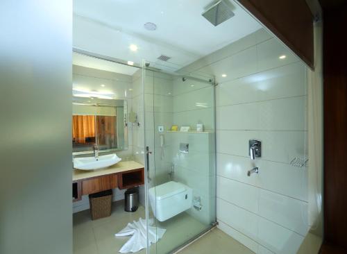 蒙纳Amber Dale Luxury Hotel & Spa, Munnar的一间带水槽、卫生间和淋浴的浴室