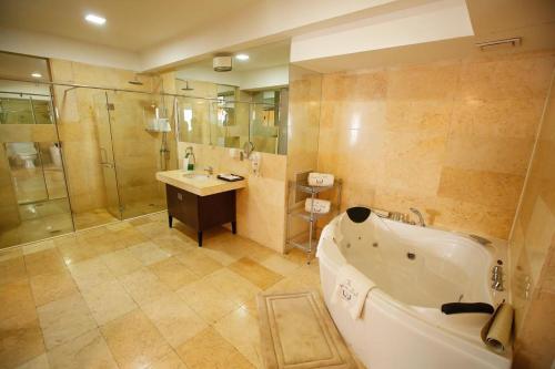 乌兰巴托克普特酒店及会议中心的带浴缸、淋浴和盥洗盆的浴室