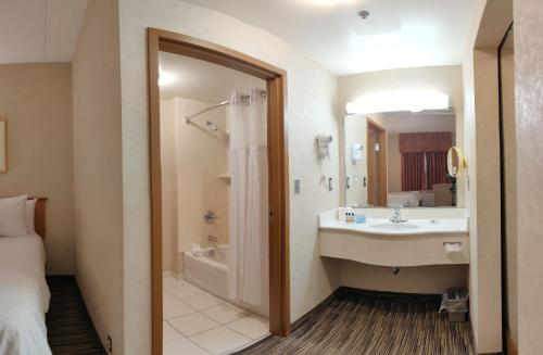 汉弗莱套房旅馆的一间浴室