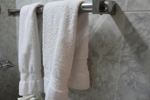 比塞大西迪塞勒姆旅游海滨酒店的浴室毛巾架上挂着两条毛巾