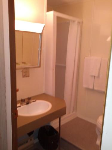 丘吉尔熊之乡旅馆的一间带水槽和淋浴的浴室