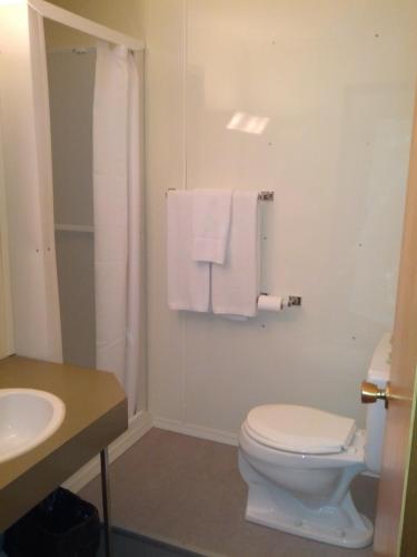 丘吉尔熊之乡旅馆的浴室配有卫生间、水槽和毛巾。