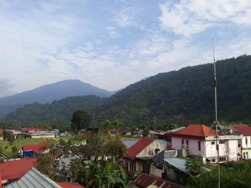 山景或在酒店看到的山景