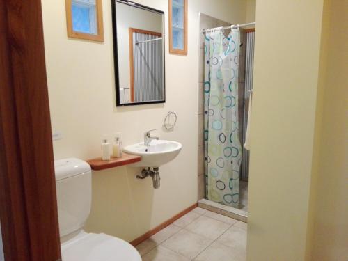 新普利茅斯Taranaki Experience的浴室配有卫生间、盥洗盆和淋浴。