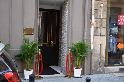 波尔多波尔多中心丘吉尔酒店的前门,前方有植物