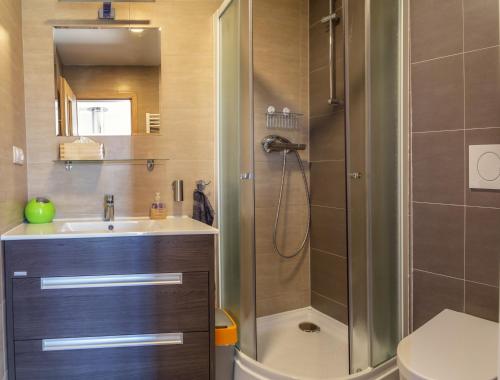 摩拉瓦新村Apartmán Hejč的带淋浴和盥洗盆的浴室