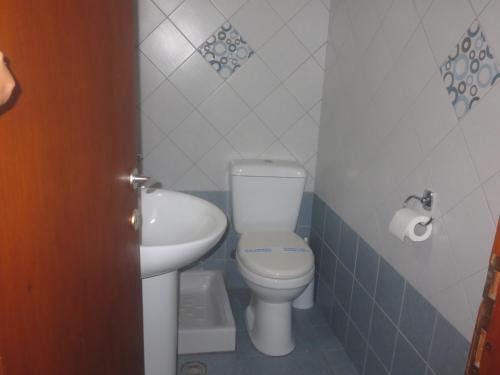 阿洛尼索斯古镇Fantasia House的一间带卫生间和水槽的小浴室