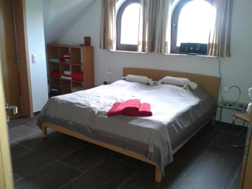 OstercappelnBoarding-Haus, Ostercappeln的一间卧室设有一张大床和两个窗户