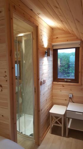 梅奥Geraghtys Farmyard Pods的小木屋内带玻璃淋浴间的桑拿浴室