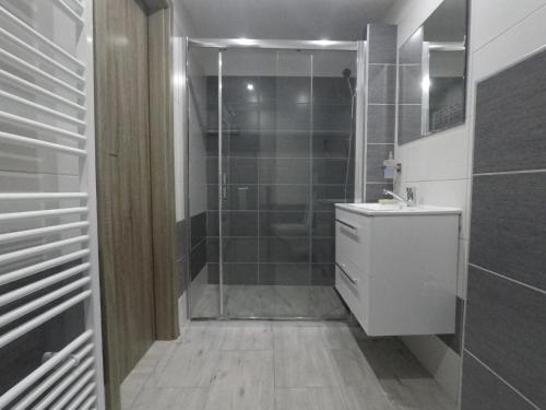 卢奇基Apartmán Choč的带淋浴、卫生间和盥洗盆的浴室