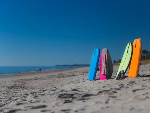 帕帕莫阿太平洋公园基督教假日公园的沙滩上四块冲浪板