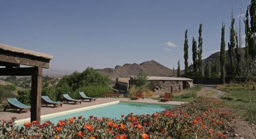 卡奇拉美斯德尔奥拖酒店的一个带躺椅的游泳池,种有树木和鲜花