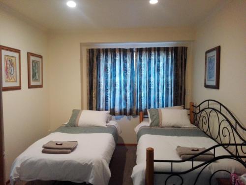 新普利茅斯Taranaki Experience的客房设有两张床和一扇带蓝色窗帘的窗户。