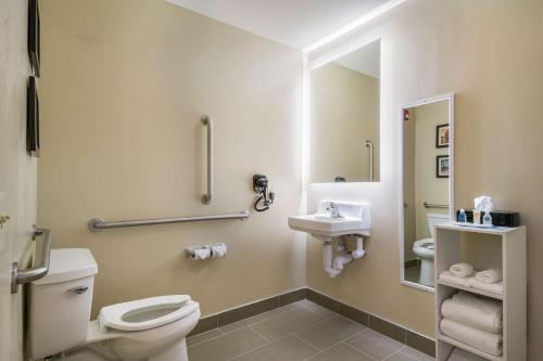 Comfort Inn & Suites Harrisburg - Hershey West的一间浴室