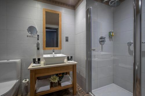 德罗赫达Boyne Valley Hotel - Bed & Breakfast Only的一间带水槽、淋浴和卫生间的浴室
