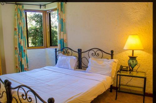 奈瓦沙Kianderi Villa-Great Rift Valley Resort的一间卧室配有一张带白色床单的床和一扇窗户。
