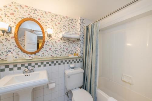 杰克逊老鹰山高尔夫俱乐部酒店的一间带卫生间、水槽和镜子的浴室