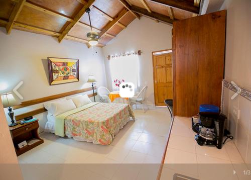 太子港棕榈酒店的卧室配有1张床、1张桌子和1把椅子