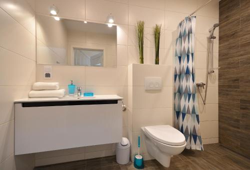 达洛科Apartamenty Gaja的一间带卫生间、水槽和镜子的浴室