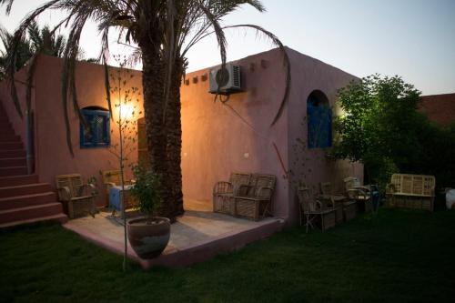 法尤姆Tunis Village Chalet的院子里有棕榈树的房子
