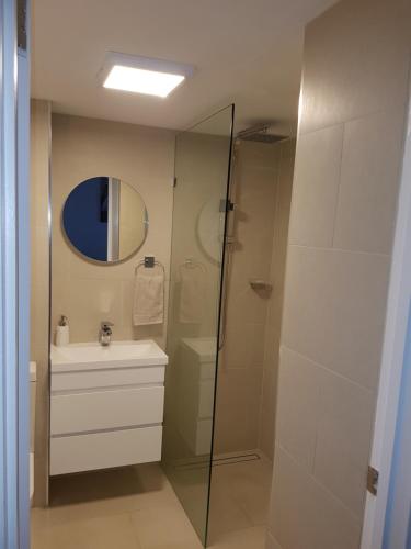 阿德莱德North Adelaide Apartment的带淋浴、盥洗盆和镜子的浴室