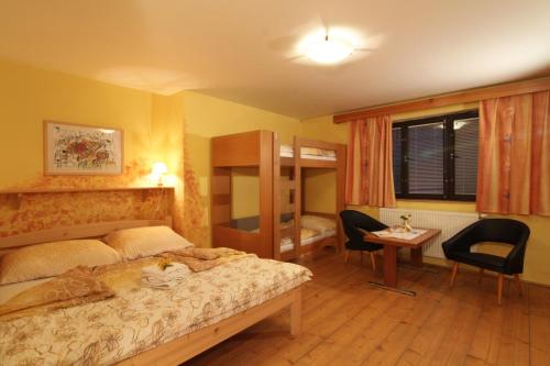 大卡尔洛维采Penzion Na Kopečku的卧室配有一张床、一张桌子和椅子