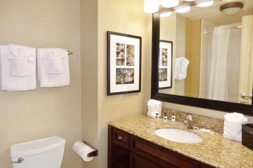 佛罗里达州橘子港代顿雷迪森乡村套房酒店 的一间浴室